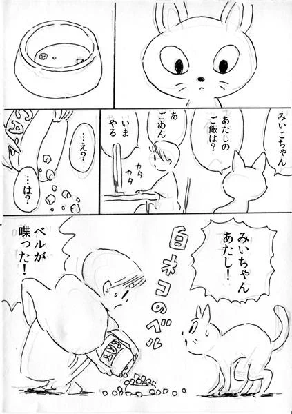 白ネコのベル(再掲) 