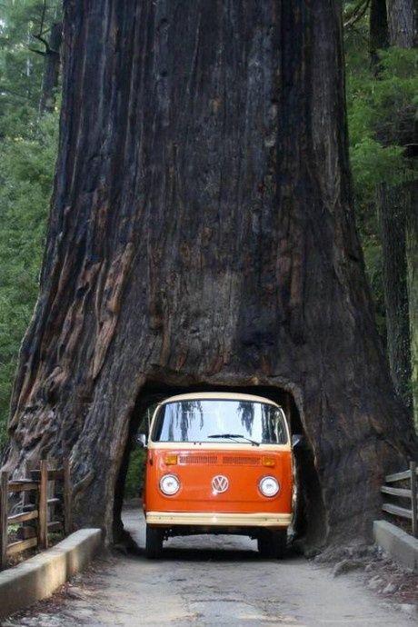 cheaprvacations's tweet photo. #California #USA #Travel http://t.co/gyqGh1uIgd