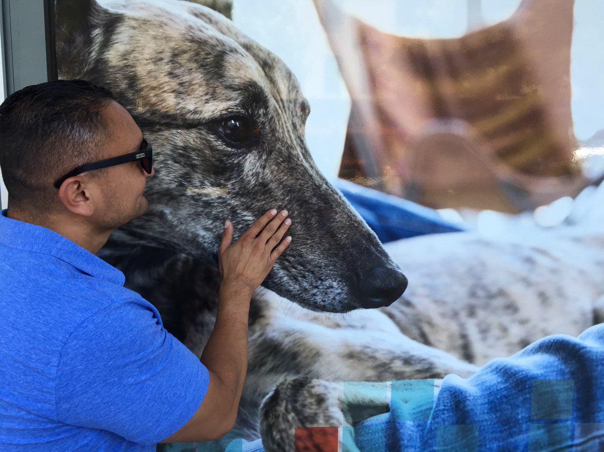 Zoom's tweet photo. Our #webinar producer loves large #dogs, &amp; even larger webinars! Go B.I.G. w/ Zoom http://t.co/k2HUM2uYJi << Register http://t.co/bjzE4etDzu