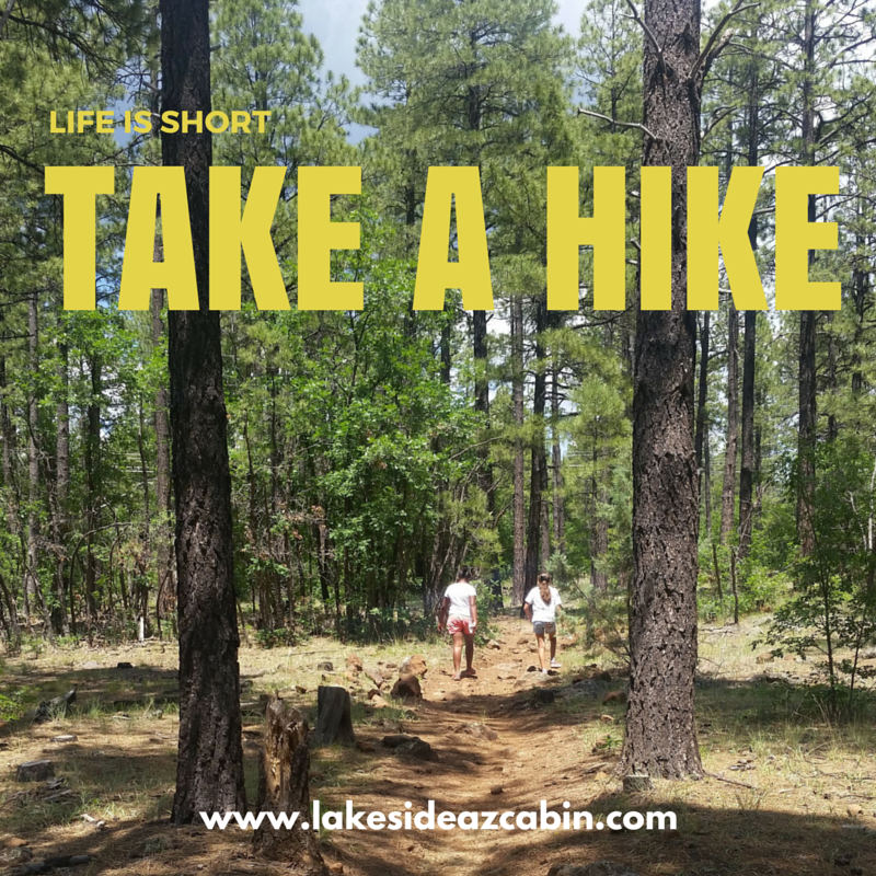 LakesideAZCabin's tweet photo. Beautiful scenery, clean mountain air and incredible memories await you! #hikeaz #azbucketlist http://t.co/ZFd74gmuP2