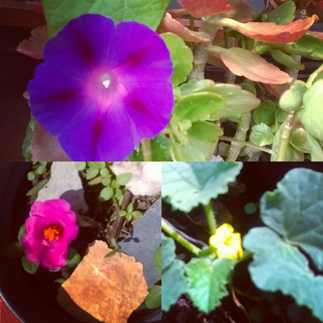 fridatarango_'s tweet photo. Se adueñó de mi ser cual intrusion a una roca. ☺ http://t.co/Azpk77Rndq