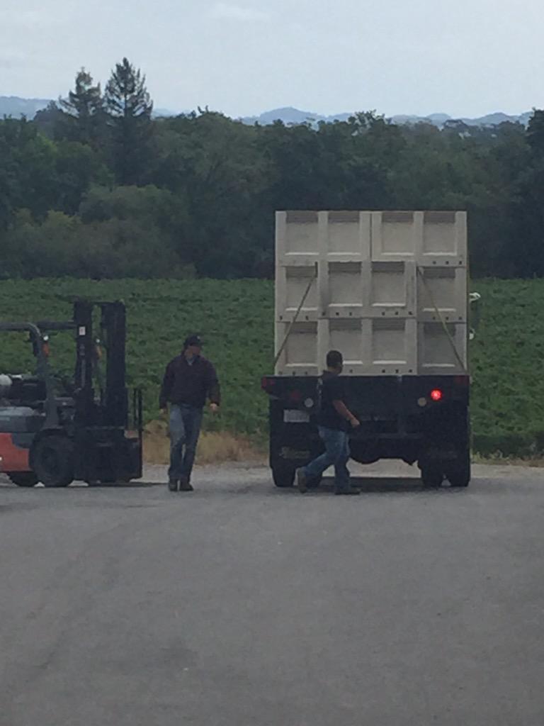 experiencewines's tweet photo. Grapes on the scale on westside rd. http://t.co/aOcCvdvgoC