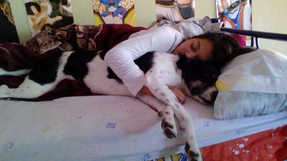 adisdvp's tweet photo. @MiCanal5  #loquehagopor mi perra para q se durma Cx http://t.co/egi0ecdqC5