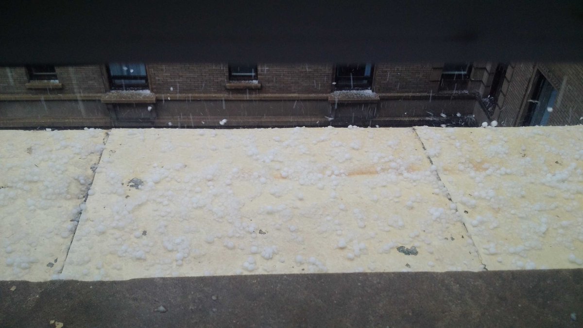 SpringfreeCBO's tweet image. 