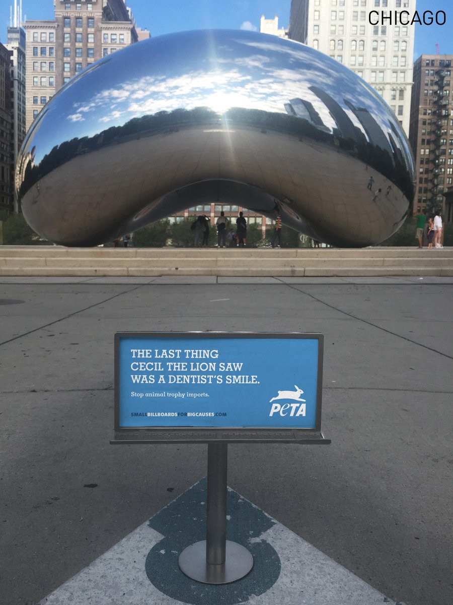 smallbillboards's tweet photo. #Chicago is on board to support! #SmallBillboards #CecilTheLion #TheBean @PETA #AnimalRights http://t.co/x7ywxfa6Gw
