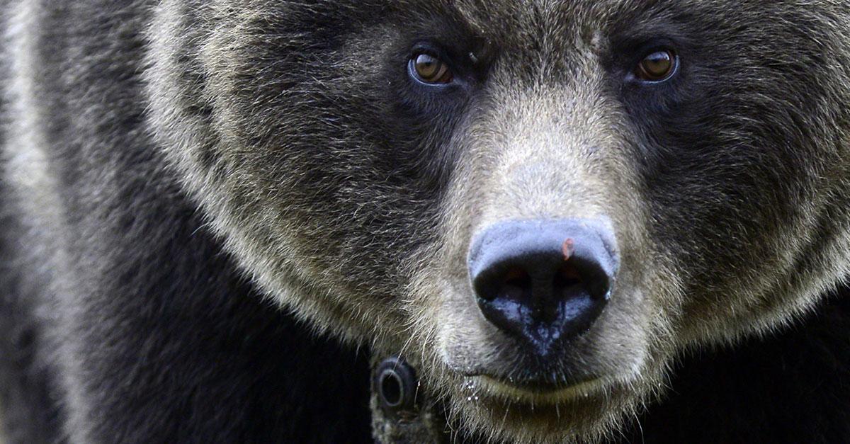 Is Russia—a country of 200 nationalities spread across 11 time zones—in danger of crumbling? econ.st/1HkOv8g