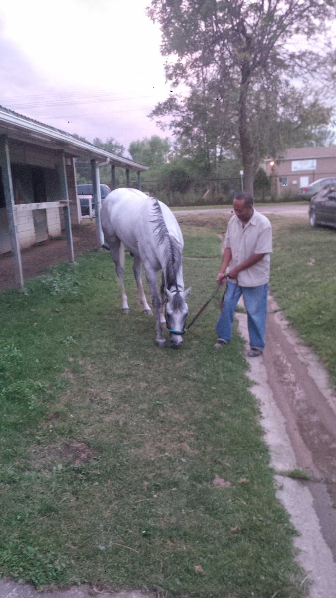 Ralphie9's tweet photo. #SureWould having some grass. Well deserved!! http://t.co/iuCYw7QNEk