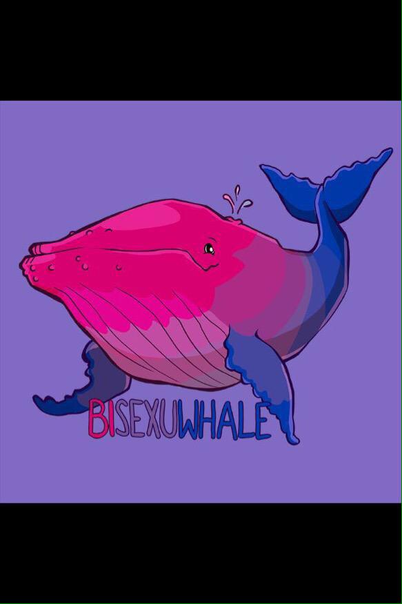 ChronosDefender's tweet image. “@/AurorasFlight: @/blueprofusion //PLEASE CHOOSE YOUR SEXUWHALATY http://t.co/RQKXIYc5pN”

I&apos;m the third one, I guess?