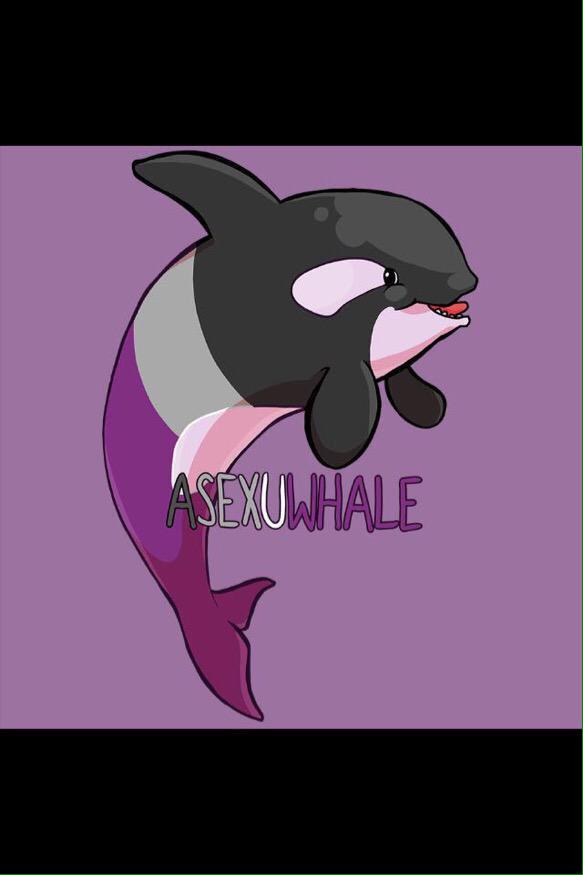 ChronosDefender's tweet image. “@/AurorasFlight: @/blueprofusion //PLEASE CHOOSE YOUR SEXUWHALATY http://t.co/RQKXIYc5pN”

I&apos;m the third one, I guess?