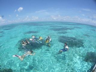 今日もとっても熱いですね！
ナガンヌ島に行きたいです！！