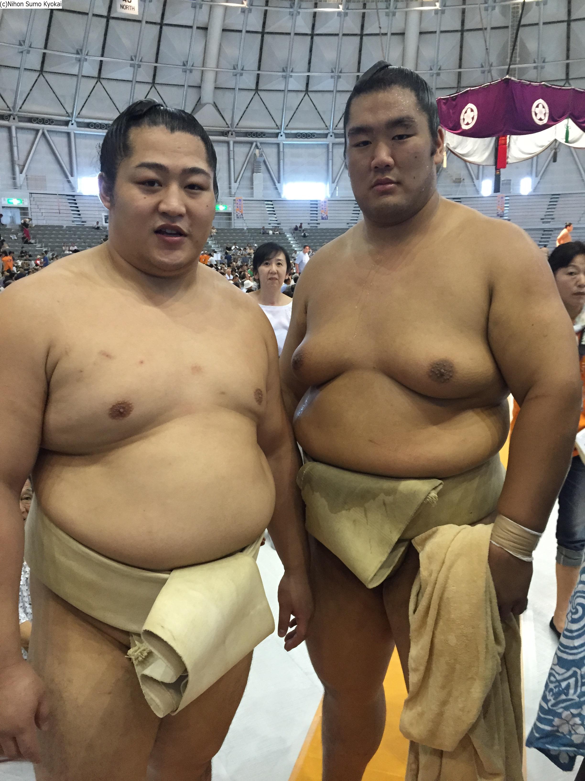 相撲 遠藤関 反物 甚平 相撲 遠藤関 反物 甚平