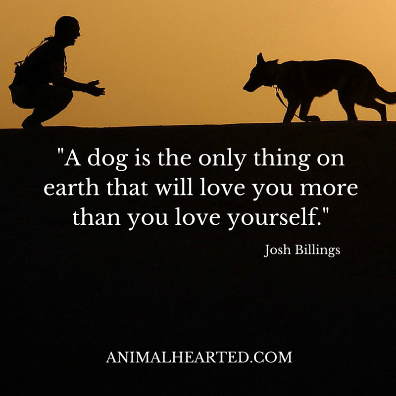 Animal_Hearted's tweet photo. Absolutely. http://t.co/FiOTLCjfss