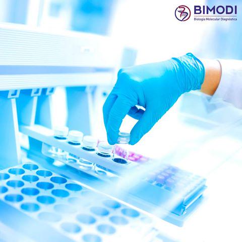 BIMODI's tweet photo. Técnicas utilizadas en #Bimodi son especializadas, están diseñadas específicamente para estudiar el material genético http://t.co/FR3eg1KfCj