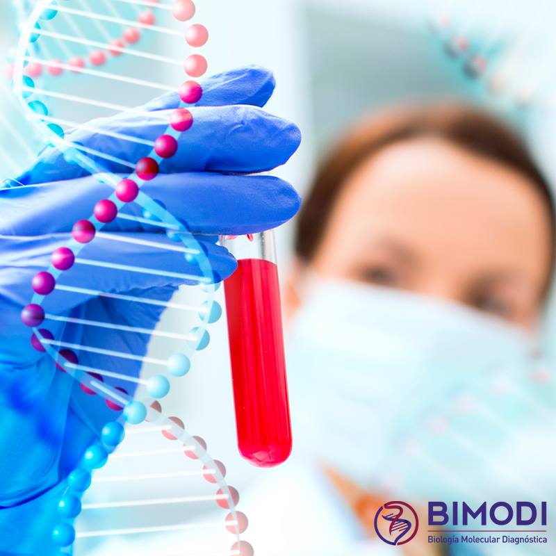 BIMODI's tweet photo. técnicas que permiten la manipulación de los ácidos nucleicos (ADN y ARN), denominadas técnicas del #ADNrecombinante. http://t.co/a3XLLP1B3o