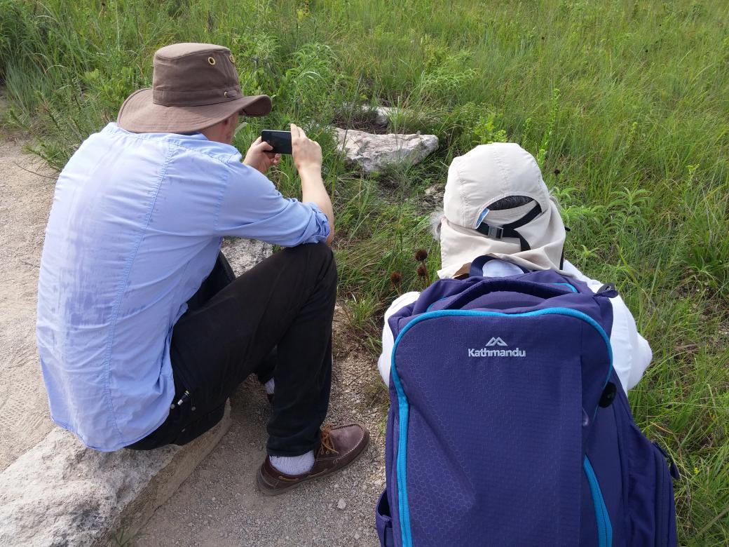 Pretty productive post #SSAR2015 herping with <a href="/MarkScherz/">Dr Mark D. Scherz</a>