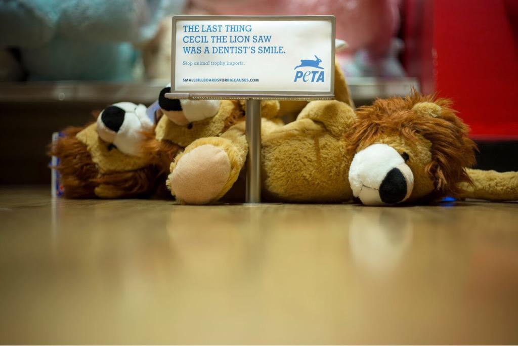 smallbillboards's tweet photo. @Upworthy check out our campaign to bring global awareness to causes such as children rights and animal cruelty http://t.co/Z6wCqDrpa3