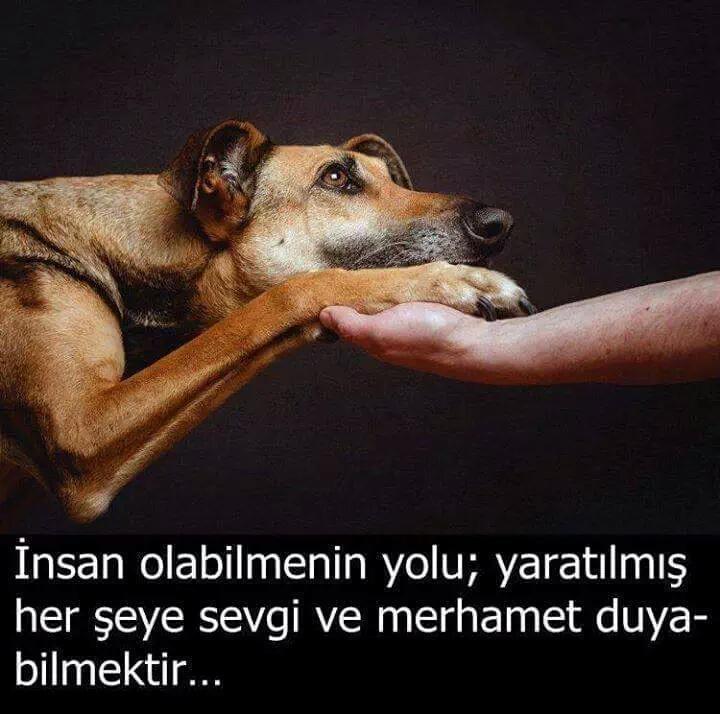 rojin5841's tweet photo. HAYIRLI İŞLER http://t.co/P8ZYEbxl95