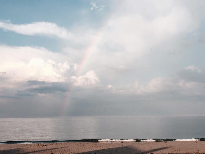 Dianne Davis tweet media