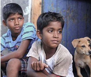 the_hindu's tweet photo. #KaakaMuttai is still going places! Next stop: Melbourne Festival http://t.co/G1SIlu33QI http://t.co/Yn0eivpz46