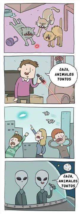 Franklin Rivas tweet media