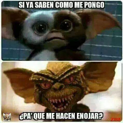 Gabrielacadel's tweet photo. No me conviertan en animal plis http://t.co/awlWR23D6g