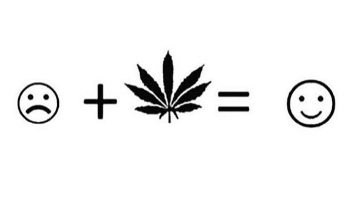 True