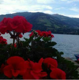 أحمد الجهني  tweet media