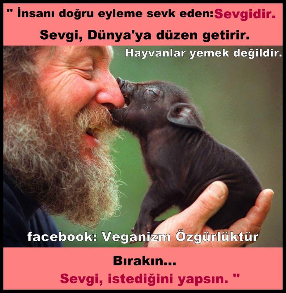 youtube.com/watch?v=bumjgj… hayvanlar sizi karşılıksız sever. siz de onları sevin. öldürmeyin #vegan olun.