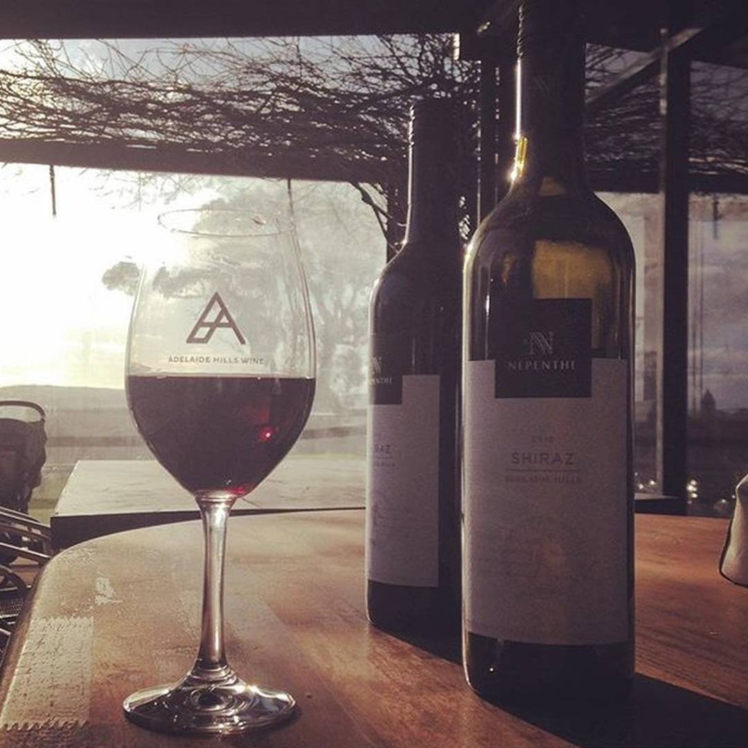 Afternoon drinks at #NepentheWines #AdelHills #winetime