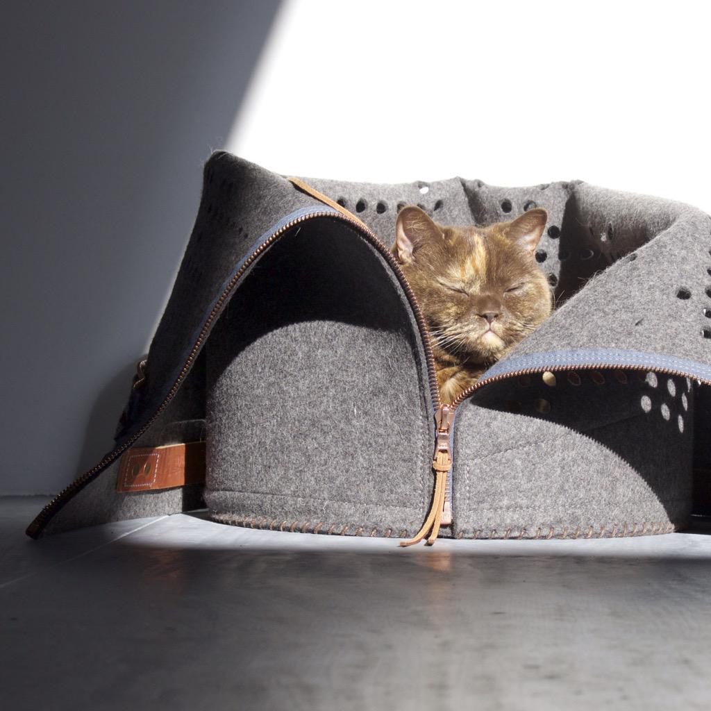 Snorhaar tweet media