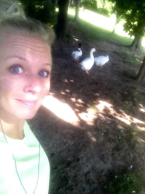 NicoleLomi's tweet photo. And I thought I'd be warming up all alone... Let's see who can run faster 😁🐥🌲🏃🏼 http://t.co/ylQRP7QmAr