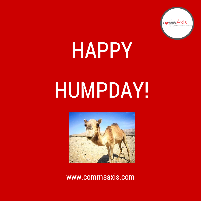 lilachbullock's tweet image. Happy Humpday peeps!