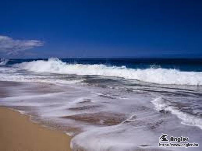 solotcom's tweet image. Winds Change Tidal Times. For more details, please visit Angler official website: angler.im/news/PEQC1wK4Y…