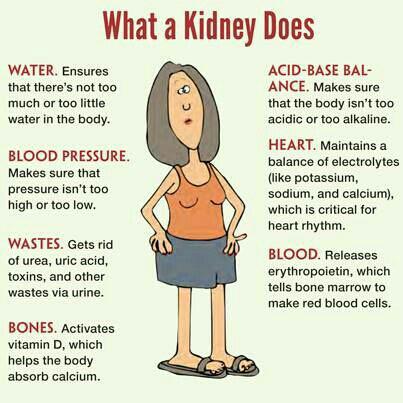 drakbhalla's tweet photo. A great way of explaining to patients when they ask. Simple and to the point :) #kidney #nephrology #kidneytips http://t.co/knHyFD9rB1