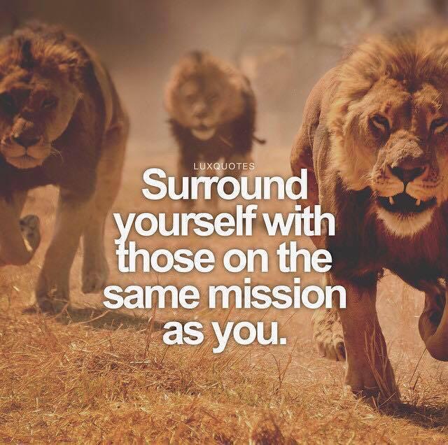 ElineBerings's tweet image. #1YearToGo #100mH #ProjectRio #teamBE