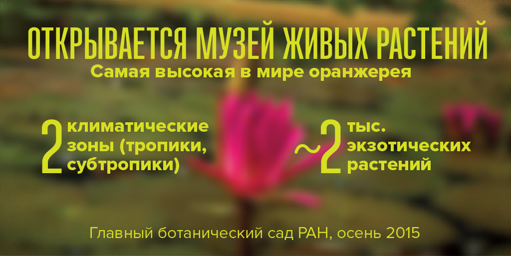 MosSobyanin tweet picture