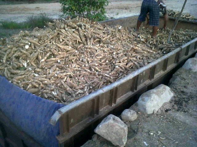 Begini pusingnya kalo punya usaha bnyak saingannya ya