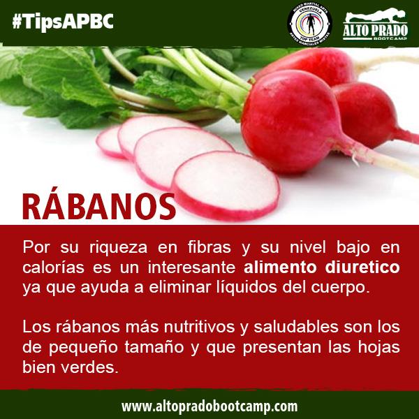 altopradobootca's tweet photo. El rábano es usado en tratamientos medicinales contra la obesidad, la artritis y la urticaria. #TipsAPBC http://t.co/eVC3Q0Kpkn