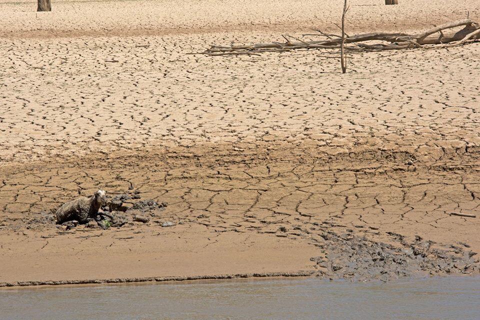 RubenMBD's tweet photo. Sabemos el alcance de este crimen que están cometiendo en los embalses Entrepeñas y buendia?#NOalTrasvaseTajoSegura http://t.co/buTXubqKtU