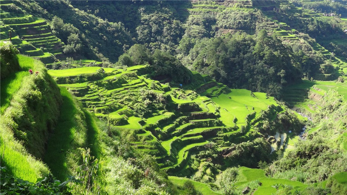 Philippines Tourisme tweet media