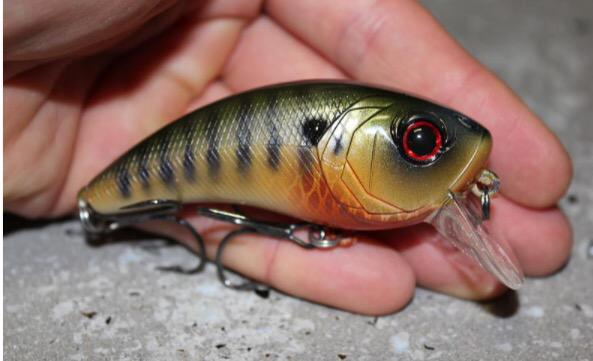 6thSenseLureCo's tweet photo. The Movement 80X swims at 1-3 ft, ticks the top of the grass, and hunts.  Basically it's designed to catch big fish. http://t.co/arWGxOcOZI