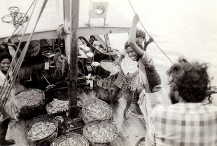 StellaMarisOrg's tweet photo. New book out. Fishers and Plunderers; Theft, Slavery and Violence at Sea http://t.co/vSBNJgXaLh #humantrafficking http://t.co/Apk05oDUEh