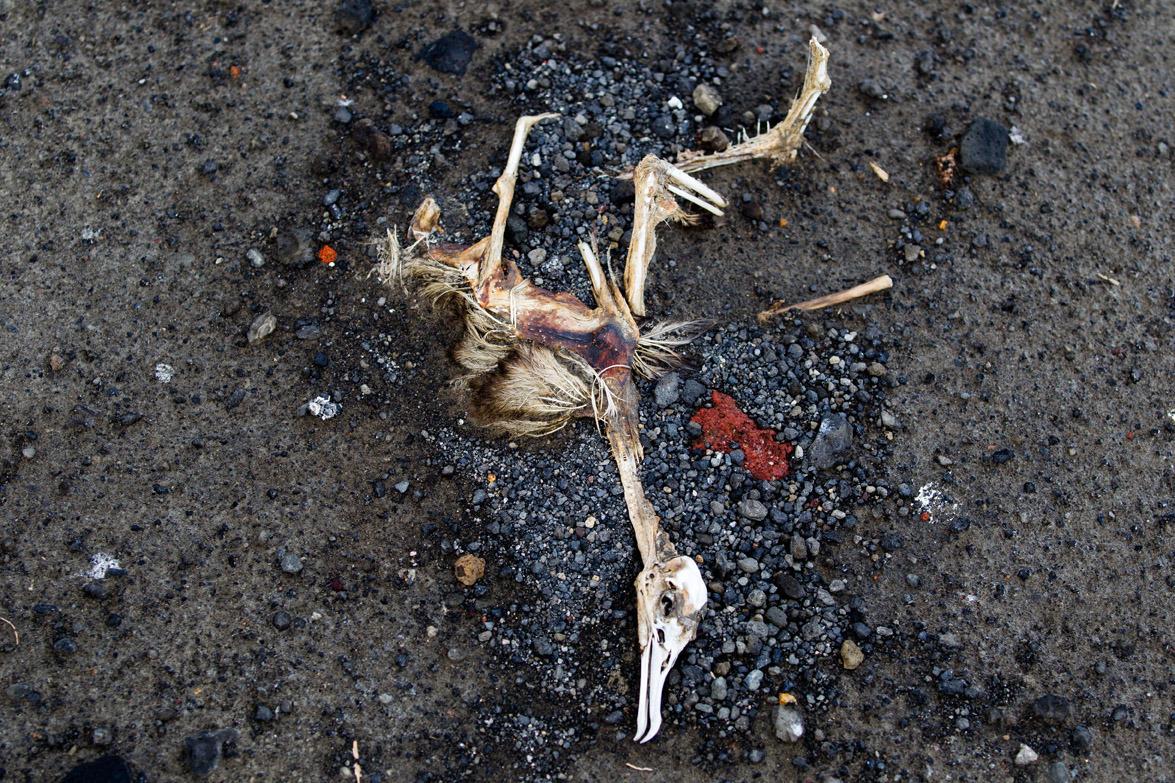 No #geocaching here yet. Few people have walked on Earth's newest island mashable.com/2015/08/05/new…