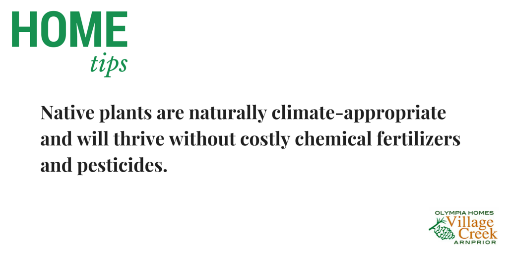 HomesOlympia's tweet image. For when you want to plant a garden but without all the upkeep #HomeTip