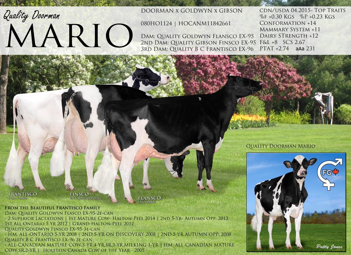 Cogent Canada (@cogentcanada) on Twitter photo 