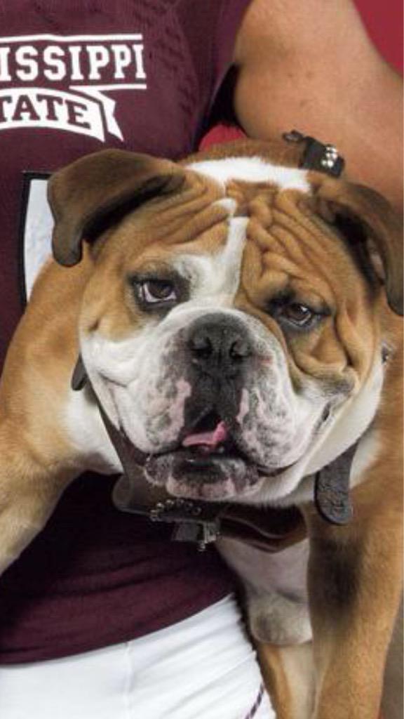 babzyyb's tweet photo. #saveBully http://t.co/TV0MkCJDRh