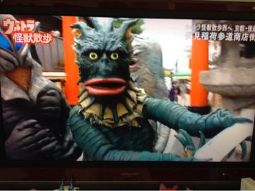 ウルトラ怪獣散歩 地上波京都編 9 30 放送 京都のお墨付き