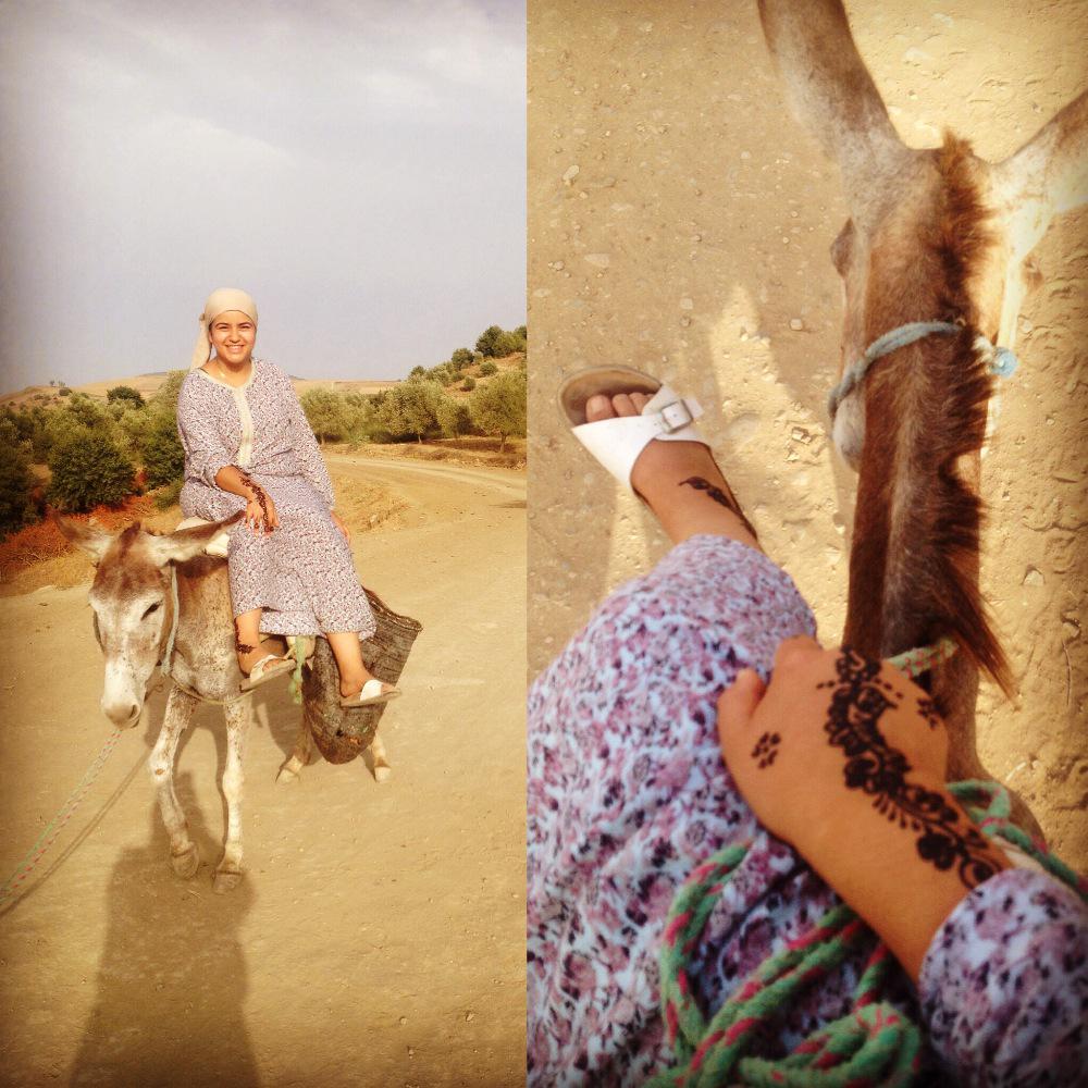nora_edd's tweet photo. Ride of the day 😂 #jeblia http://t.co/pnhKCHx7sc