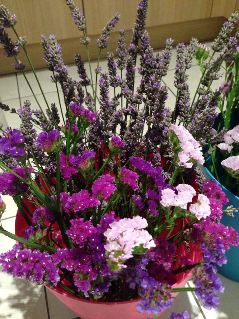 PlotBound's tweet photo. Making a bouquet from these beauties later...
Statice
Lavender 
#allotment #gyo http://t.co/6WsLAJNjSq