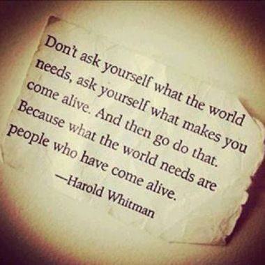 LProbabilities's tweet image. 